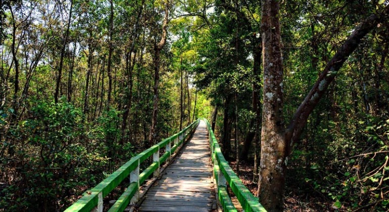 করমজল